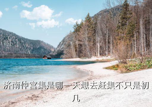 仲宮大集時間，濟南仲宮集是哪一天想去趕集不只是初幾