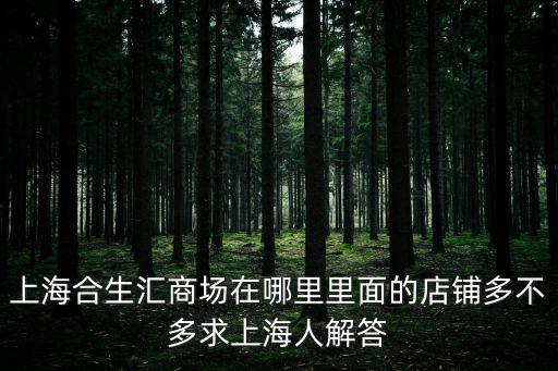 上海合生匯商場在哪里里面的店鋪多不多求上海人解答
