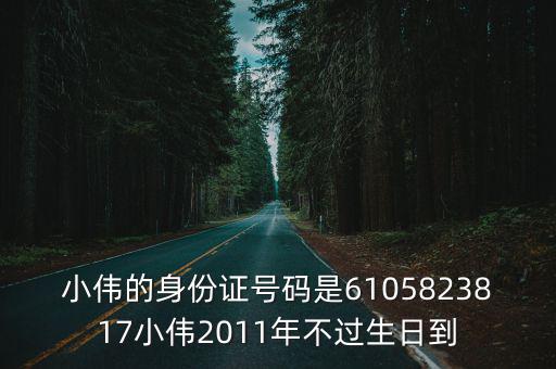 吉林小偉，小偉的身份證號碼是6105823817小偉2011年不過生日到