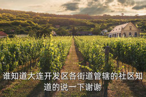 馬橋子街道，大連開發區馬橋子街道辦事處具體在什么位置