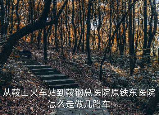 從鞍山火車站到鞍鋼總醫(yī)院原鐵東醫(yī)院怎么走做幾路車