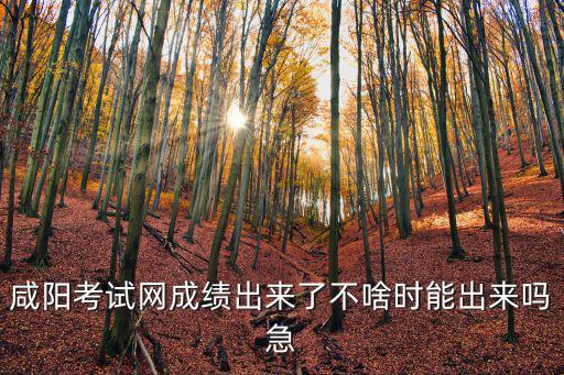 咸陽教育網，咸陽考試網成績出來了不啥時能出來嗎急