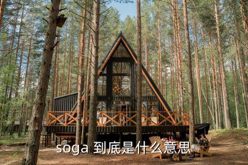 soga 到底是什么意思