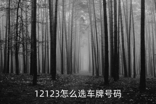 12123怎么選車牌號碼