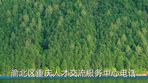 渝北區重慶人才交流服務中心電話