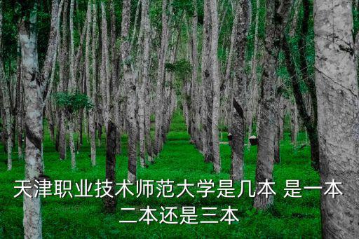 天津職業(yè)技術(shù)大學(xué)，天津職業(yè)技術(shù)師范大學(xué)是幾本 是一本二本還是三本
