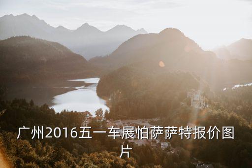 廣州2016五一車展怕薩薩特報(bào)價(jià)圖片