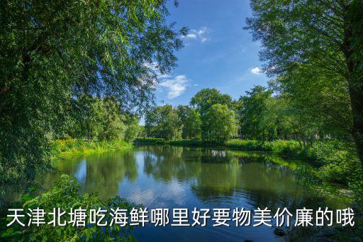 天津北塘吃海鮮哪里好要物美價(jià)廉的哦