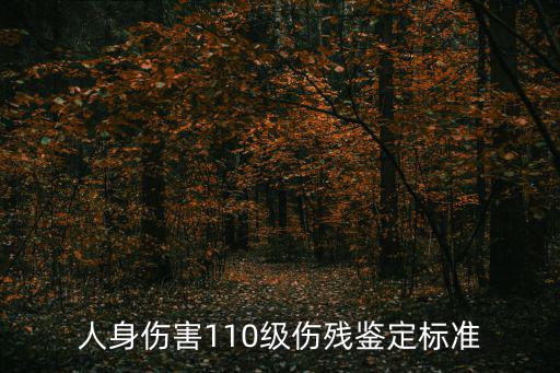 人身傷害110級傷殘鑒定標(biāo)準(zhǔn)