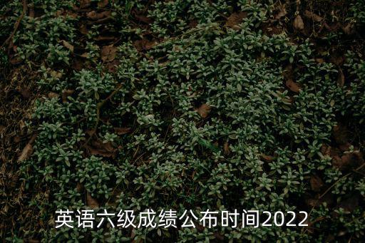 英語六級成績公布時間2022