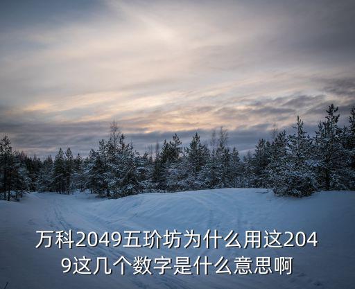 萬科五玠坊，萬科2049五玠坊商街什么時候開業