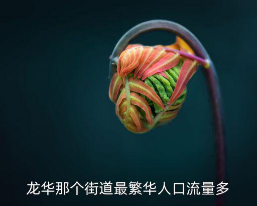 龍華街道，龍華那個街道最繁華人口流量多