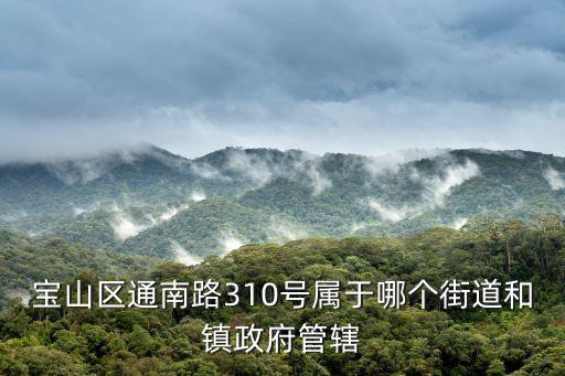 寶山區(qū)通南路310號屬于哪個街道和鎮(zhèn)政府管轄