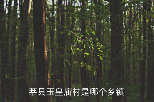 玉皇廟村，莘縣玉皇廟村是哪個鄉鎮