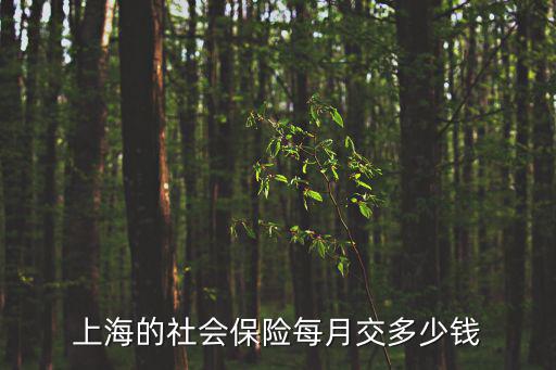 上海的社會保險每月交多少錢