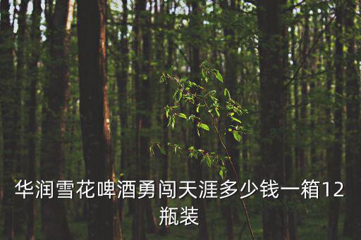 華潤(rùn)雪花啤酒勇闖天涯多少錢一箱12瓶裝