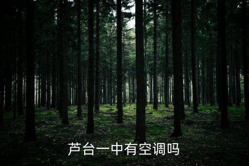 蘆臺(tái)一中有空調(diào)嗎
