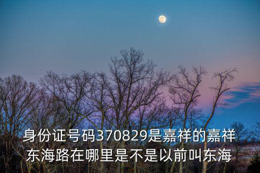 370829，身份證號碼370829是嘉祥的嘉祥東海路在哪里是不是以前叫東海
