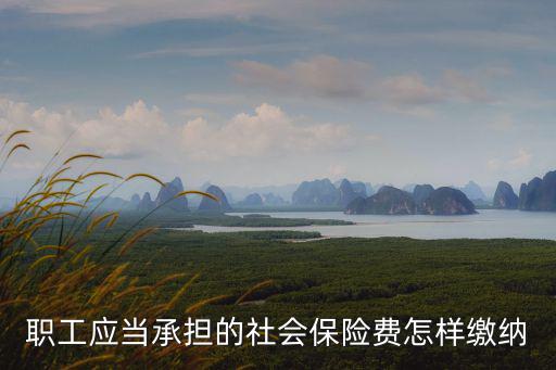 社保費繳納，各們朋友們幫忙一下社會保險費應如何繳納