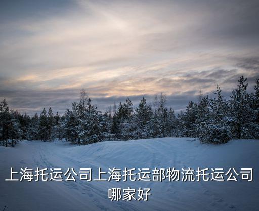 上海托運(yùn)公司上海托運(yùn)部物流托運(yùn)公司哪家好