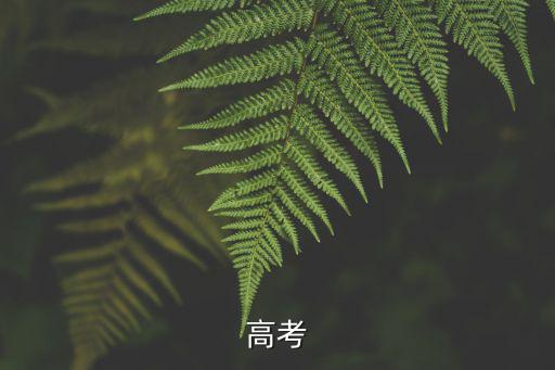 河南陽光高考網，高考