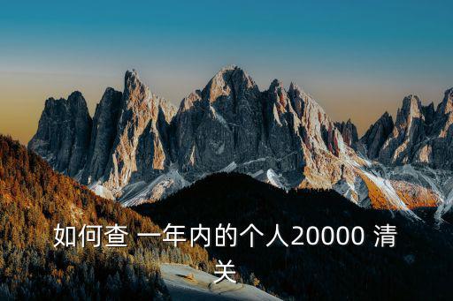 如何查 一年內的個人20000 清關