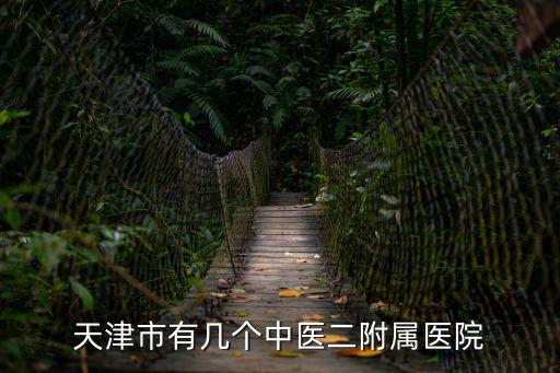 天津市有幾個中醫二附屬醫院