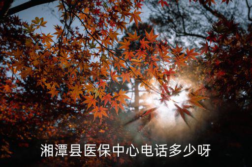 湘潭縣醫保中心電話多少呀