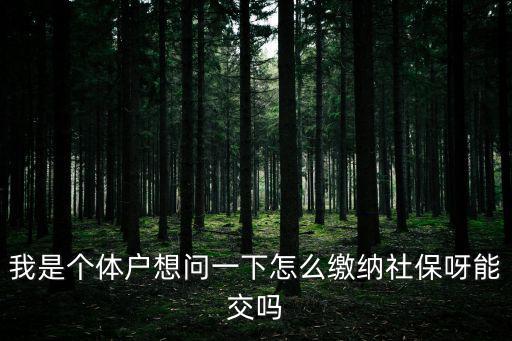 個體戶怎么交社保，請問個人社保怎么繳納我是個體戶的