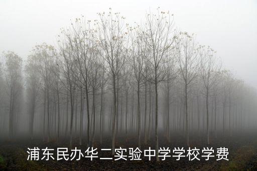 浦東民辦華二實驗中學學校學費