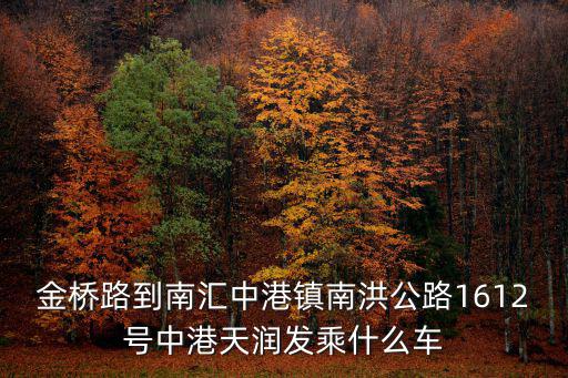 金橋路到南匯中港鎮(zhèn)南洪公路1612號中港天潤發(fā)乘什么車
