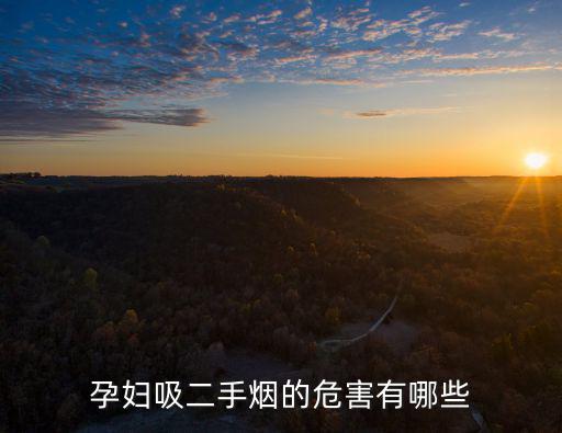 二手煙對(duì)孕婦的危害，孕婦吸二手煙的危害有哪些