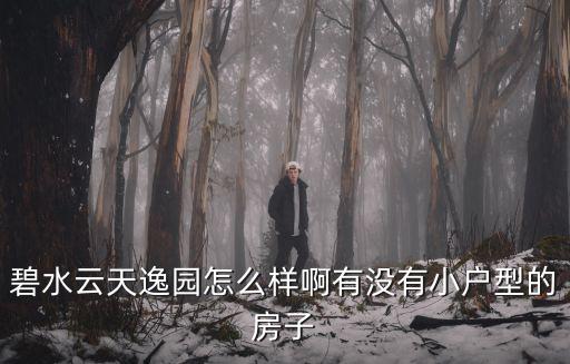 碧水云天逸園怎么樣啊有沒有小戶型的房子