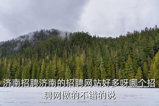 濟南招聘濟南的招聘網站好多呀哪個招聘網做的不錯的說
