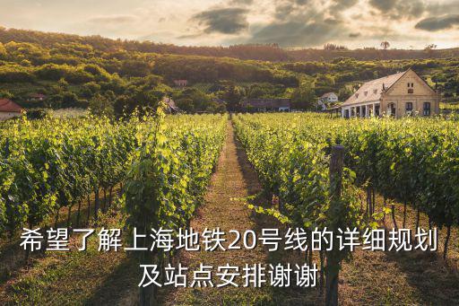 希望了解上海地鐵20號線的詳細(xì)規(guī)劃及站點安排謝謝