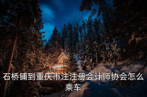 石橋鋪到重慶市注注冊會計師協會怎么乘車