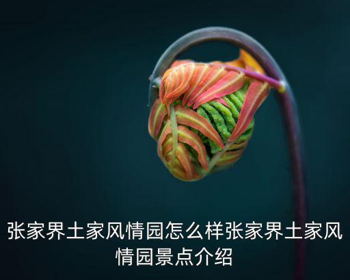 張家界土家風情園怎么樣張家界土家風情園景點介紹