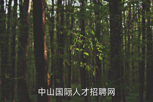 中山國際人才招聘網(wǎng)