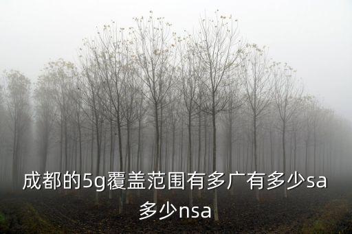 成都的5g覆蓋范圍有多廣有多少sa多少nsa