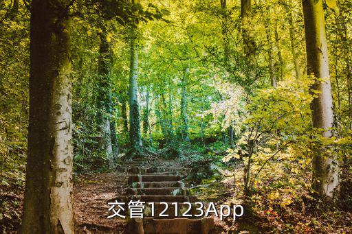 車管所app，車管所用的什么考試軟件