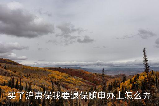 買了滬惠保我要退保隨申辦上怎么弄
