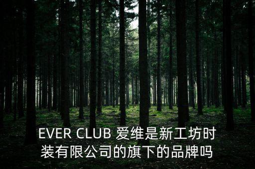 愛維，愛維的英文拼寫