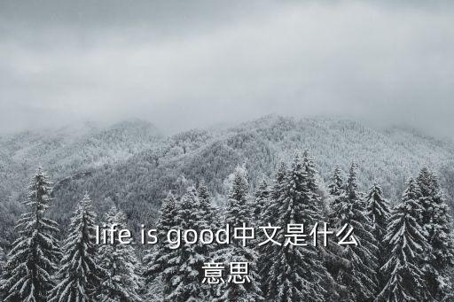 iife，什么是life