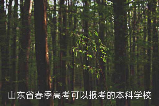 山東省春季高考可以報考的本科學校
