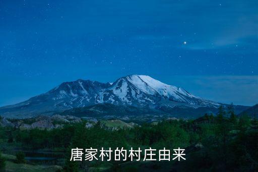 唐家村，東營區辛店街道辦事處唐家村具體在什么位置啊