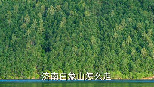 白象山，老叟對聯(lián)白象山中無白象請隨意對謝謝