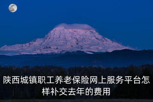 陜西城鎮職工養老保險網上服務平臺怎樣補交去年的費用