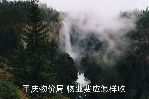 重慶物價局，重慶物價局網站是多少