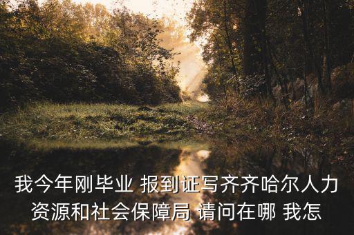 齊齊哈爾市人力資源和社會保障局，請問齊齊哈爾市人力資源和社會保障局在哪