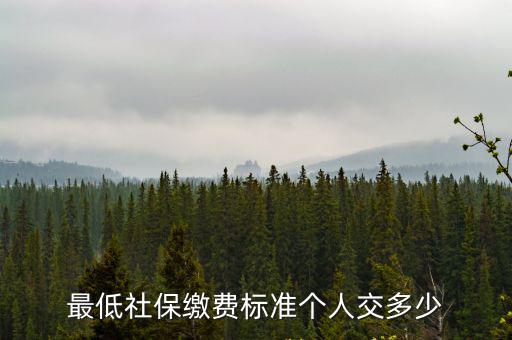 最低社保繳費標準個人交多少